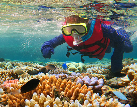 世界最大の珊瑚礁「グレートバリアリーフ」